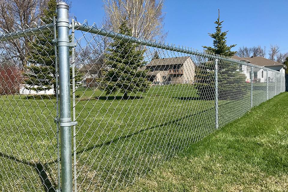 Many trees are planted in a community yard enclosed by galvanized chain link fence.