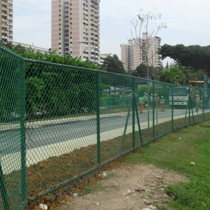 La clôture à mailles de chaîne verte est placée le long du bord de la route.